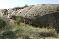 /album/galeria-de-fotos-beira-alta/beira-alta-344-1-jpg/